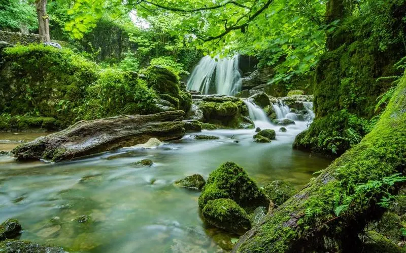 节能高标准绿色